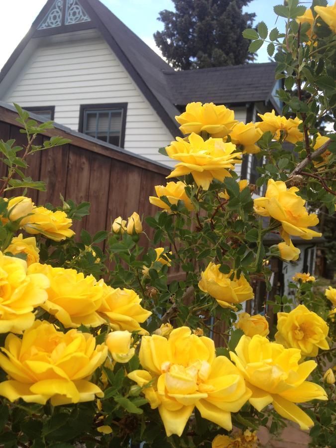 Hooper Homestead Bed And Breakfast Central  City Bagian luar foto