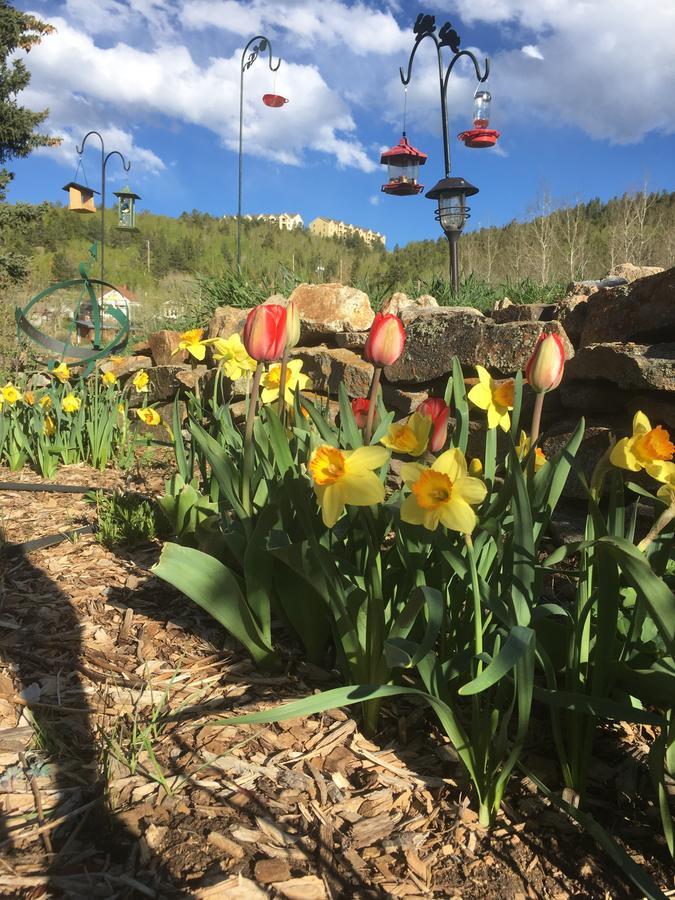 Hooper Homestead Bed And Breakfast Central  City Bagian luar foto